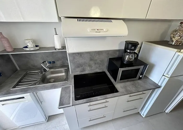 T2 Climatise Avec Loggia Et Parking Pres De La - Fr-1-388-244 Lägenhet *